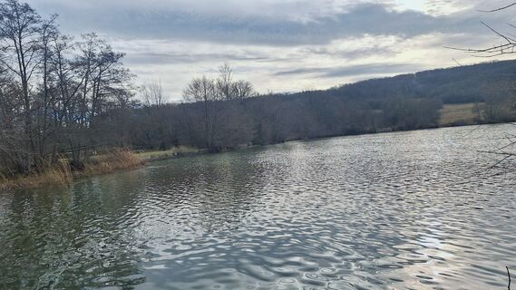 Foto de Regina Fleischmann a lo largo del recorrido