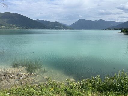 Foto de Mihau a lo largo del recorrido