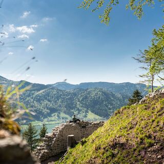 Hohenwaldeck