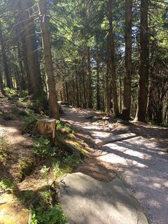 Fotografija s spletne strani SvenScherer7 na poti