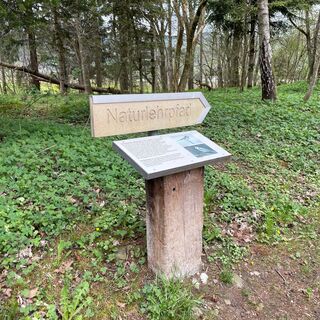 Naturlehrpfad Wattenwil