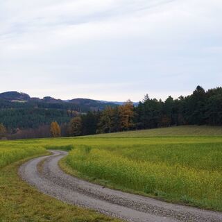 Feldweg