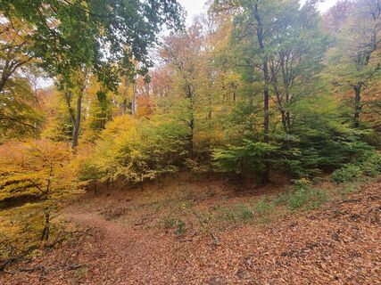 Fotografia z Bálint Tóth 4 na trase