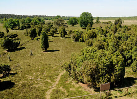 Zemljevid