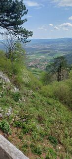 Photo de Ewald Reil 1 le long du parcours