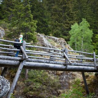Brücke Burgen