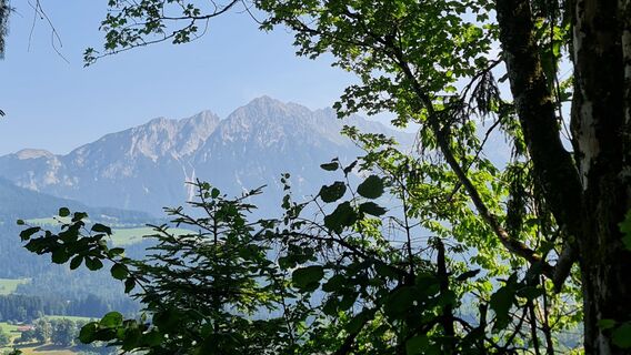 Photo de Thomas BBG le long du parcours