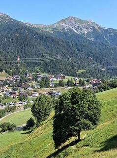 Photo de Olivier Meersman 1 le long du parcours