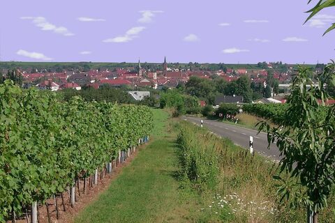 Ortsansicht Weisenheim am Sand