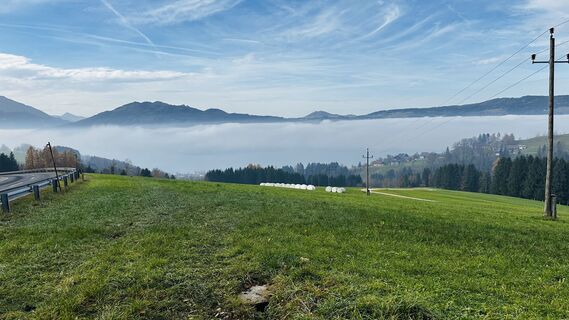 Foto von apfelcorner entlang der Tour
