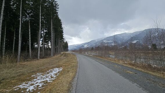 Foto von Shitlas Trash entlang der Tour