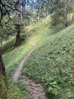Foto från Karl Heinz Fick under resans gång