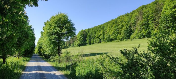 Photo de Fredi Oppel le long du parcours