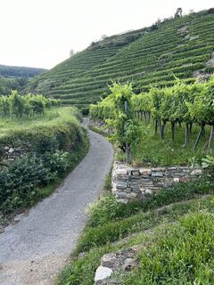 Foto von Birgit Krenner entlang der Tour