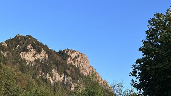 Foto von Mountain Cat ? ⛰️ entlang der Tour