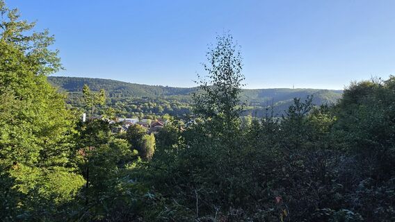 Zdjęcie z Katja Senkel wzdłuż trasy