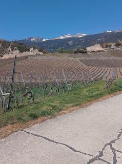 Fotografia z Jean-Pierre Sion na trase