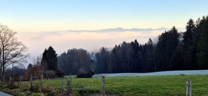 Фото с сайта Thomas Schekira во время экскурсии
