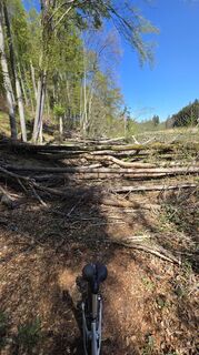Photo de Hameister le long du parcours