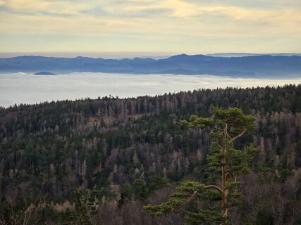 Photo de TwilightTea le long du parcours