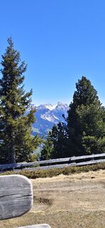 Foto de Albert Knollseisen a lo largo del recorrido
