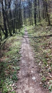 Foto van Hubert Sellnar langs de tour