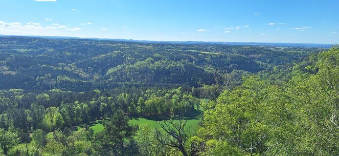 Fotografia z Hallunke Frank na trase