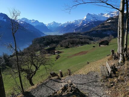 Fotografia z luyyy na trase