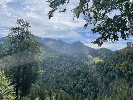 Fotografija s spletne strani HDHD na poti