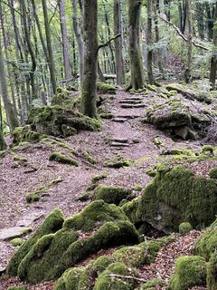 Photo de Gloop le long du parcours