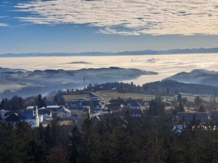 Fotografia z Bellou na trase