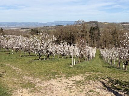 Foto von Nina Astleitner entlang der Tour
