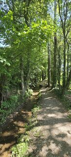 Photo de titi le long du parcours