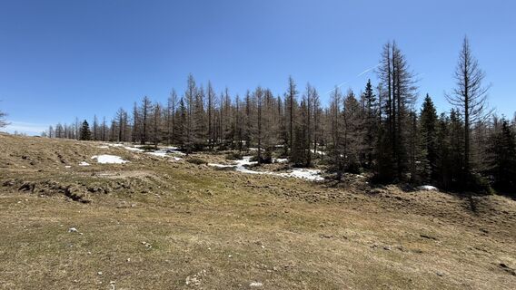 Photo de Zsolt Kozsla le long du parcours