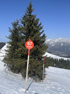 Foto von Feil Eli entlang der Tour