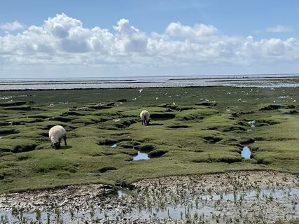 Foto von Ludger Scheper entlang der Tour