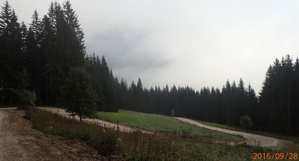 Aufstieg auf der Forststraße