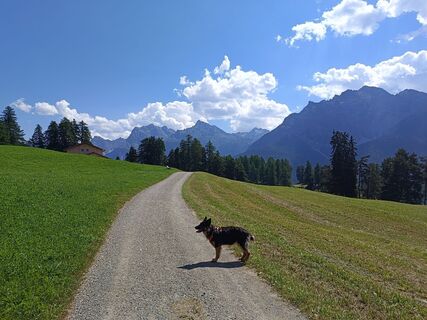Fotografie z Kirsten Genglawski na trase
