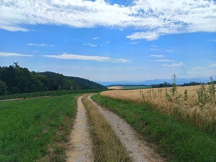 Foto fra Sabine Binder undervejs på turen
