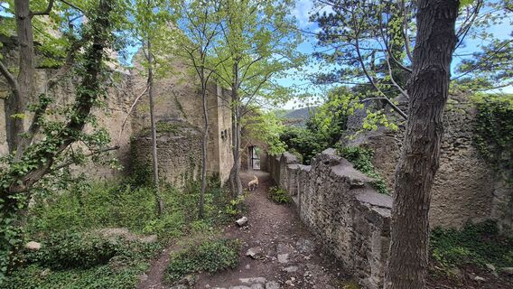 Foto von Claudia Maurer entlang der Tour