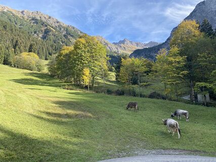Fotografija s spletne strani hanuta na poti