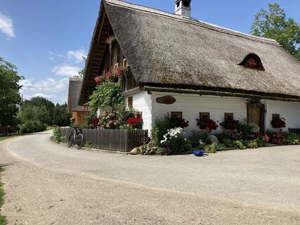 Foto von Willy entlang der Tour