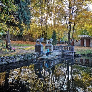 Teich im Matzenpark im Herbst