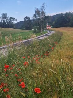 Foto von Monika Beichler entlang der Tour