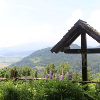 Ausblick am Hocheckweg