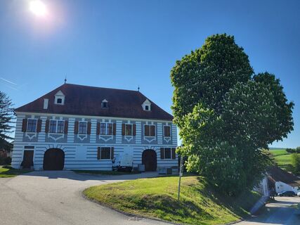 Zdjęcie z BergfexxMaxx wzdłuż trasy