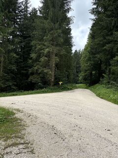 Foto von Heinz Sperl entlang der Tour