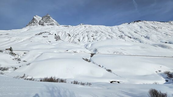Photo de Sophiehedo le long du parcours