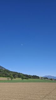 Foto von Mangolein entlang der Tour