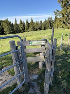 Photo de Nessi129 le long du parcours